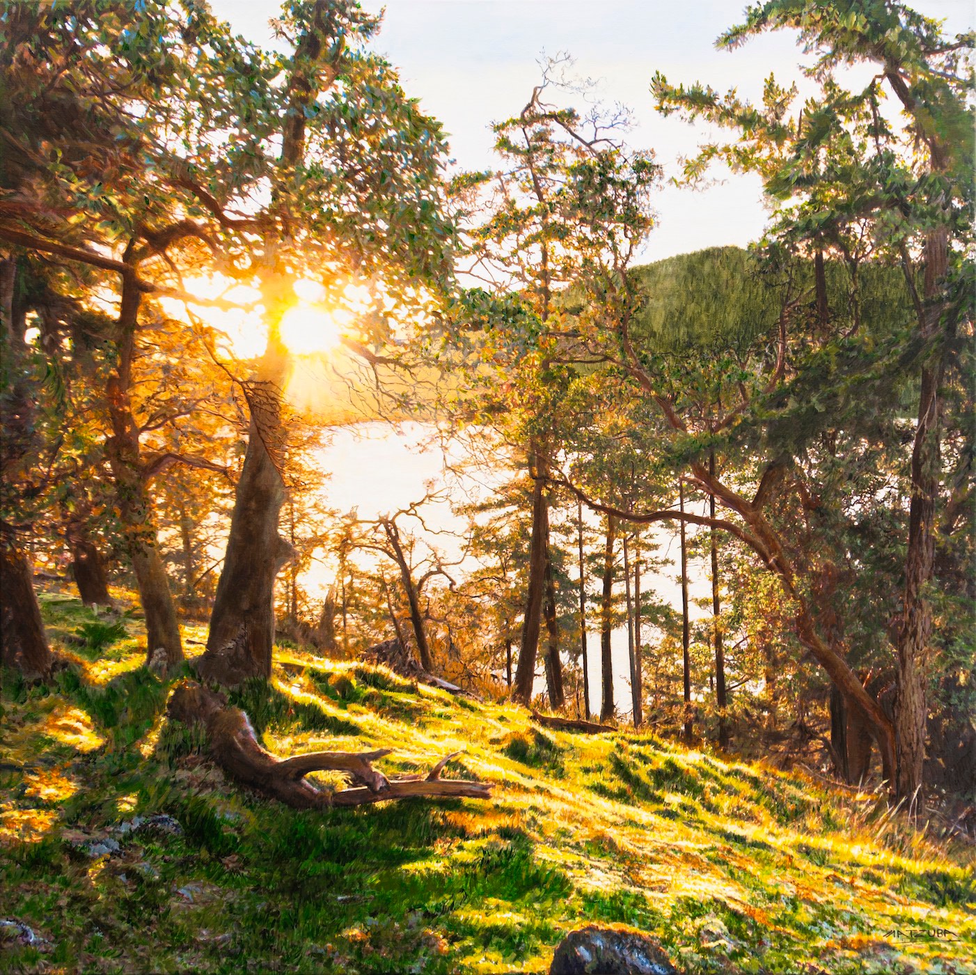 Asahi in the Bluff, 2021